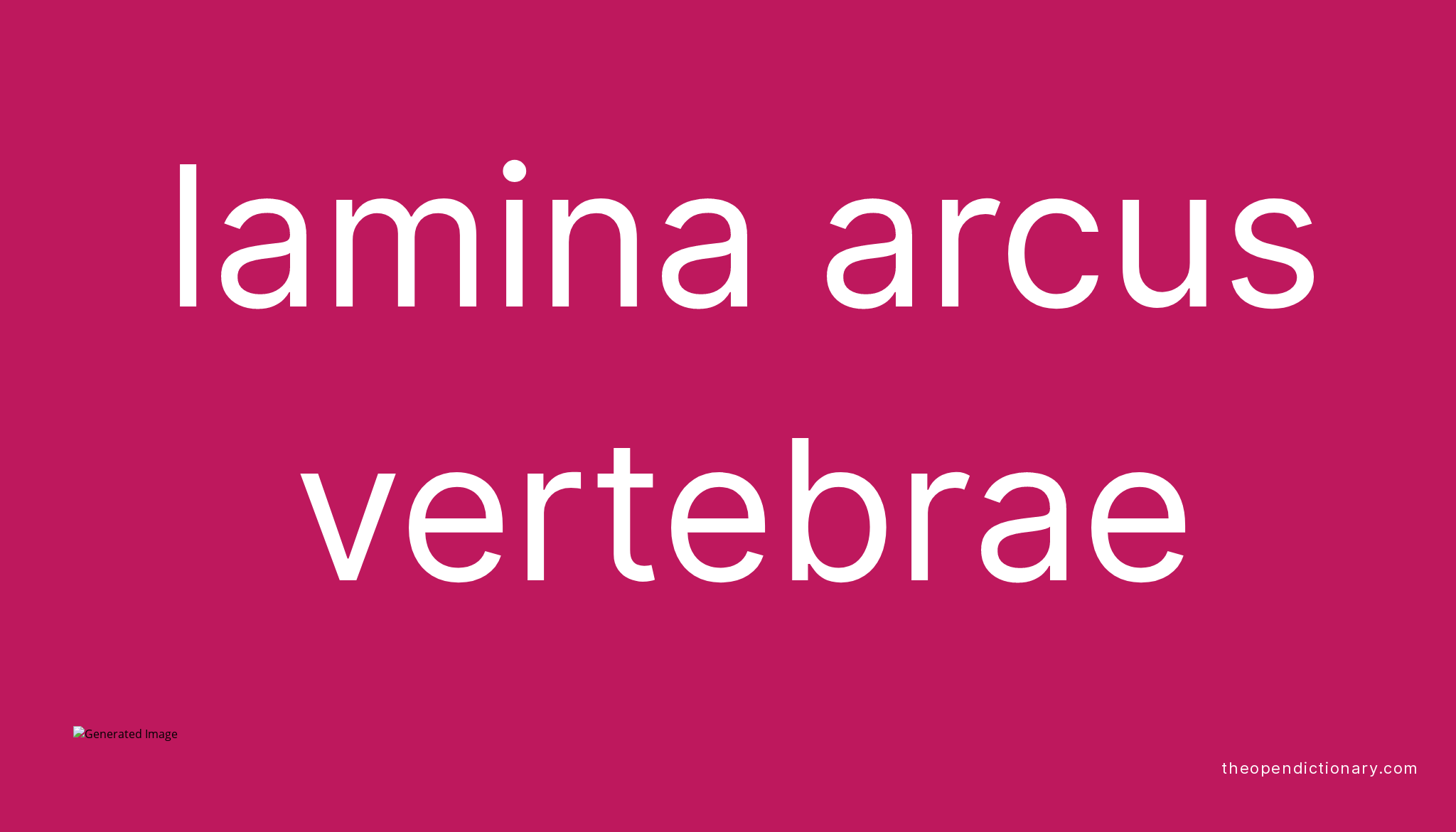 Lamina arcus vertebrae | Meaning of Lamina arcus vertebrae | Definition